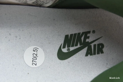 OG High 1 Air DZ5485-303 “Gorge Jordan Green” 0908